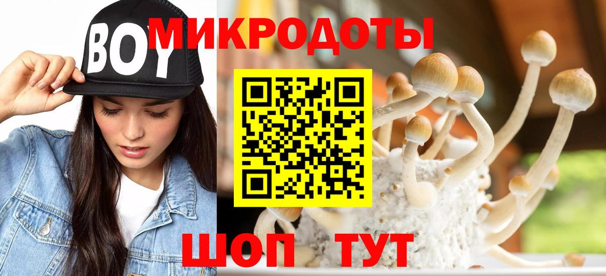 Псилоцибиновые грибы ЛСД  Галлюциногенные грибы GOLDEN TEACHER  Вход с VPN  продажа наркотиков  Муравленко 
